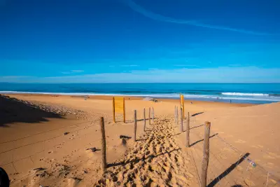 Actualité à Bordeaux - Pinel Côte Atlantique : Les opportunités d’investissements en bord de mer