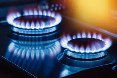 Actualité à Bordeaux - Comparateur de gaz : quel fournisseur de gaz naturel choisir pour votre maison ?