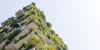 Projet Bastide Niel – vue sur un immeuble où la nature est omniprésente