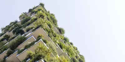 Actualité à Bordeaux - Le Label Bâtiment Frugal Bordelais : Allier tradition et modernité dans la construction