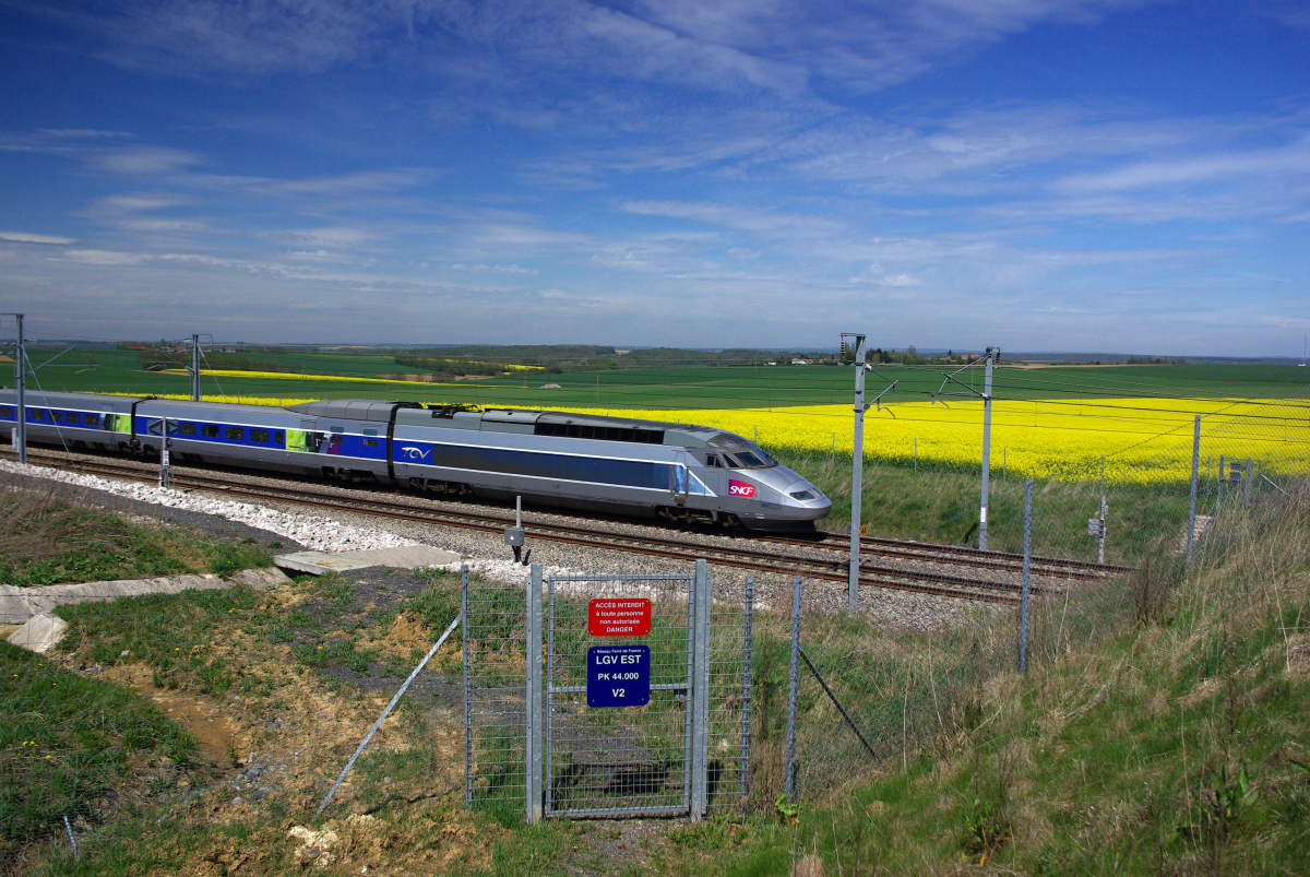 LGV Bordeaux-Toulouse – TGV circulant dans un paysage champêtre