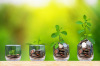 Crowdfunding immobilier Bordeaux – Vue sur des petits verres remplis de monnaie et faisant germer une plante