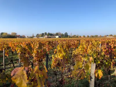 Actualité à Bordeaux - Pourquoi choisir Pessac pour investir en immobilier ?
