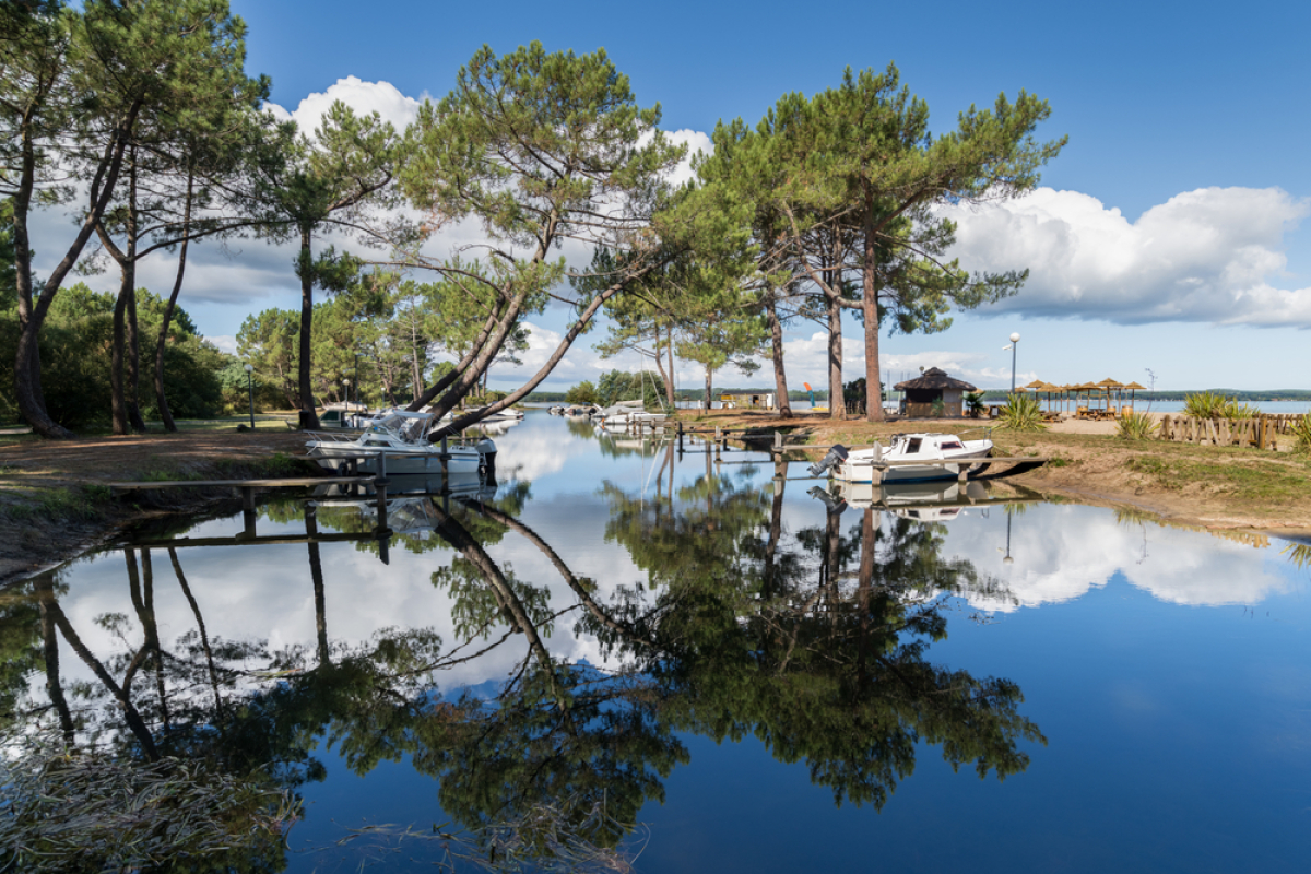 pinel côte atlantique – Lac de Biscarrosse